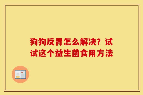 狗狗反胃怎么解决？试试这个益生菌食用方法