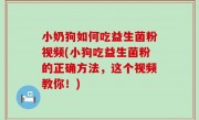 小奶狗如何吃益生菌粉视频(小狗吃益生菌粉的正确方法，这个视频教你！)