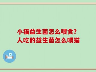 小猫益生菌怎么喂食？人吃的益生菌怎么喂猫