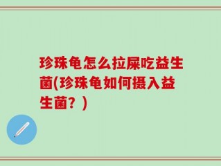 珍珠龟怎么拉屎吃益生菌(珍珠龟如何摄入益生菌？)