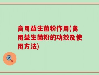禽用益生菌粉作用(禽用益生菌粉的功效及使用方法)