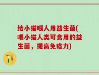 给小猫喂人用益生菌(喂小猫人类可食用的益生菌，提高免疫力)