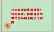 小狗呕吐益生菌推荐？狗狗呕吐、拉稀可以喂益生菌吗那个牌子比较好