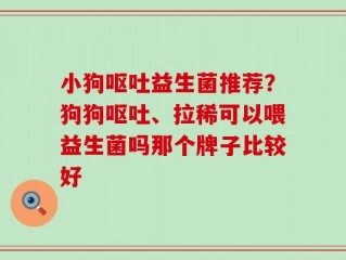 小狗呕吐益生菌推荐？狗狗呕吐、拉稀可以喂益生菌吗那个牌子比较好