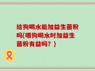 给狗喝水能加益生菌粉吗(喂狗喝水时加益生菌粉有益吗？)
