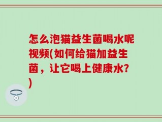 怎么泡猫益生菌喝水呢视频(如何给猫加益生菌，让它喝上健康水？)