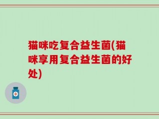 猫咪吃复合益生菌(猫咪享用复合益生菌的好处)