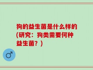 狗的益生菌是什么样的(研究：狗类需要何种益生菌？)