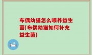 布偶幼猫怎么喂养益生菌(布偶幼猫如何补充益生菌)