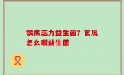 鹦鹉活力益生菌？玄凤怎么喂益生菌