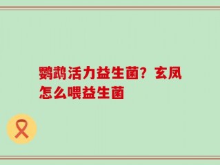 鹦鹉活力益生菌？玄凤怎么喂益生菌