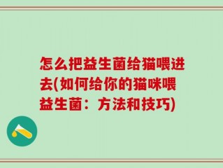 怎么把益生菌给猫喂进去(如何给你的猫咪喂益生菌：方法和技巧)