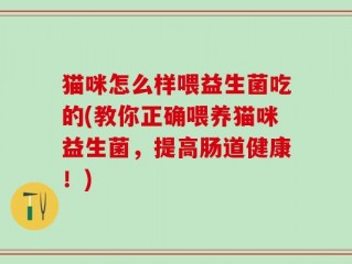 猫咪怎么样喂益生菌吃的(教你正确喂养猫咪益生菌，提高肠道健康！)