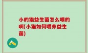 小的猫益生菌怎么喂的啊(小猫如何喂养益生菌)