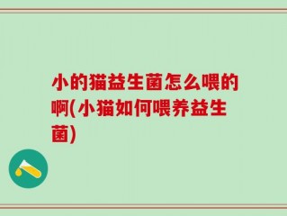 小的猫益生菌怎么喂的啊(小猫如何喂养益生菌)