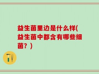 益生菌里边是什么样(益生菌中都含有哪些细菌？)