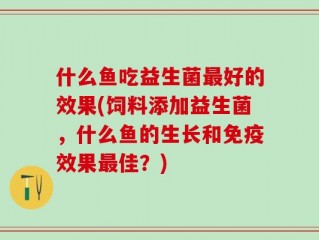 什么鱼吃益生菌最好的效果(饲料添加益生菌，什么鱼的生长和免疫效果最佳？)