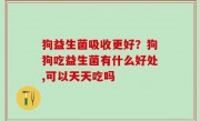 狗益生菌吸收更好？狗狗吃益生菌有什么好处,可以天天吃吗