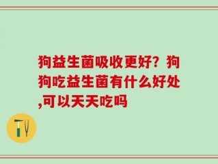 狗益生菌吸收更好？狗狗吃益生菌有什么好处,可以天天吃吗