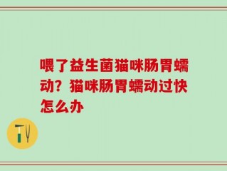 喂了益生菌猫咪肠胃蠕动？猫咪肠胃蠕动过快怎么办