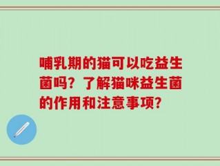 哺乳期的猫可以吃益生菌吗？了解猫咪益生菌的作用和注意事项？