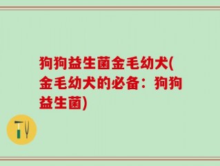 狗狗益生菌金毛幼犬(金毛幼犬的必备：狗狗益生菌)