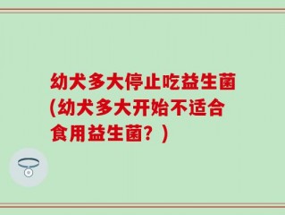 幼犬多大停止吃益生菌(幼犬多大开始不适合食用益生菌？)