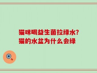猫咪喝益生菌拉绿水？猫的水盆为什么会绿