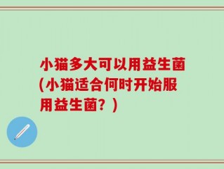 小猫多大可以用益生菌(小猫适合何时开始服用益生菌？)