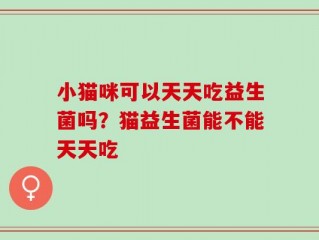 小猫咪可以天天吃益生菌吗？猫益生菌能不能天天吃