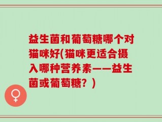 益生菌和葡萄糖哪个对猫咪好(猫咪更适合摄入哪种营养素——益生菌或葡萄糖？)