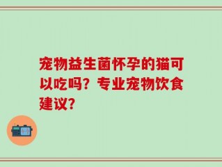 宠物益生菌怀孕的猫可以吃吗？专业宠物饮食建议？