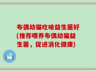 布偶幼猫吃啥益生菌好(推荐喂养布偶幼猫益生菌，促进消化健康)
