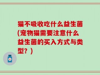 猫不吸收吃什么益生菌(宠物猫需要注意什么益生菌的买入方式与类型？)