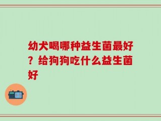 幼犬喝哪种益生菌最好？给狗狗吃什么益生菌好