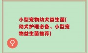 小型宠物幼犬益生菌(幼犬护理必备，小型宠物益生菌推荐)
