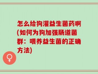 怎么给狗灌益生菌药啊(如何为狗加强肠道菌群：喂养益生菌的正确方法)