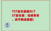 TST益生菌图片(TST益生菌：延缓衰老，调节肠道菌群)