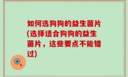 如何选狗狗的益生菌片(选择适合狗狗的益生菌片，这些要点不能错过)