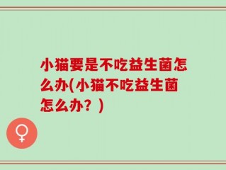 小猫要是不吃益生菌怎么办(小猫不吃益生菌怎么办？)