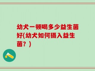 幼犬一顿喝多少益生菌好(幼犬如何摄入益生菌？)