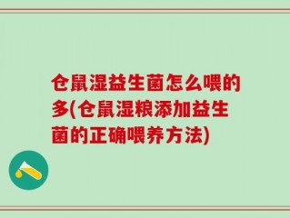 仓鼠湿益生菌怎么喂的多(仓鼠湿粮添加益生菌的正确喂养方法)