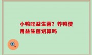 小鸭吃益生菌？养鸭使用益生菌划算吗