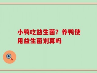 小鸭吃益生菌？养鸭使用益生菌划算吗