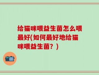 给猫咪喂益生菌怎么喂最好(如何最好地给猫咪喂益生菌？)