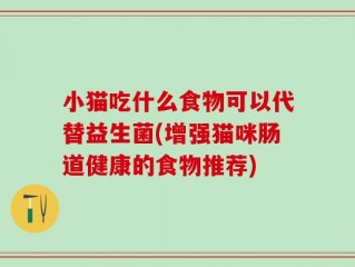 小猫吃什么食物可以代替益生菌(增强猫咪肠道健康的食物推荐)