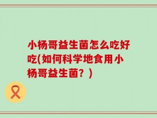 小杨哥益生菌怎么吃好吃(如何科学地食用小杨哥益生菌？)