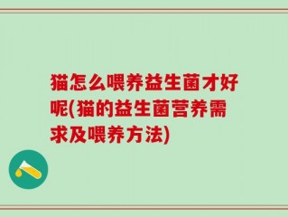 猫怎么喂养益生菌才好呢(猫的益生菌营养需求及喂养方法)