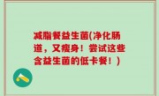 减脂餐益生菌(净化肠道，又瘦身！尝试这些含益生菌的低卡餐！)
