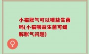 小猫胀气可以喂益生菌吗(小猫喂益生菌可缓解胀气问题)